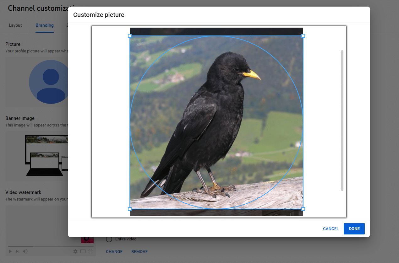 عکس در یوتیوب