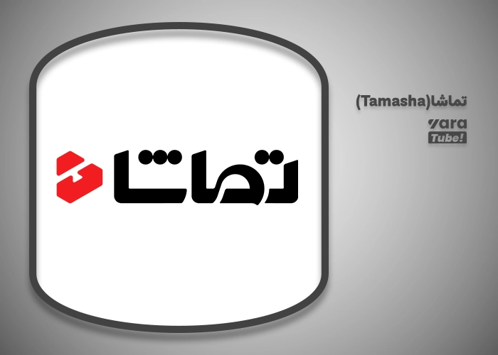 سایت‌ های اشتراک‌ گذاری ویدیو