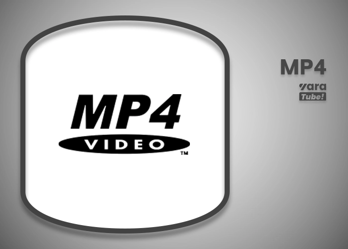 سایت‌ های اشتراک‌ گذاری ویدیو